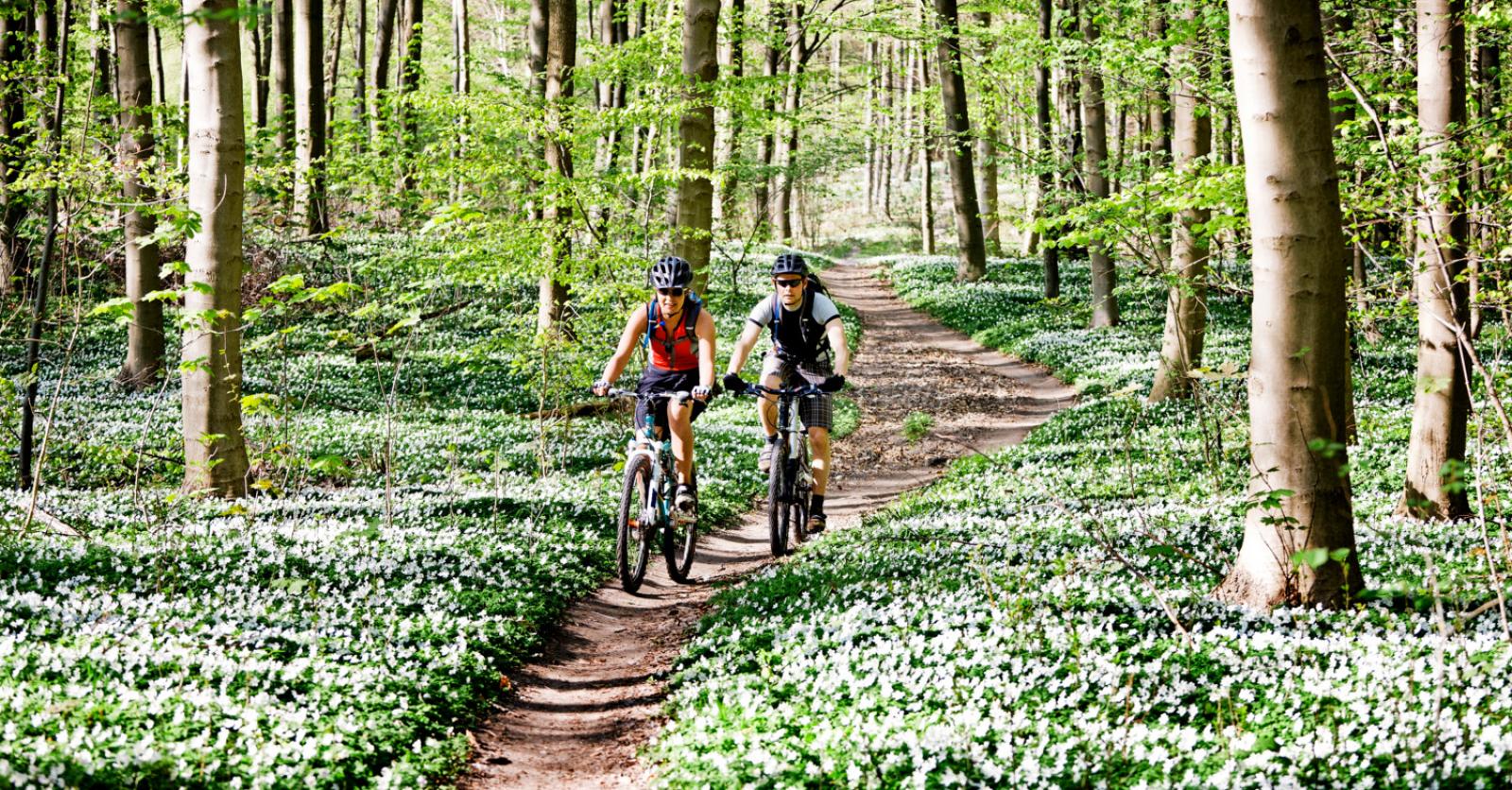 5 balades à vélo guidées pour découvrir votre province