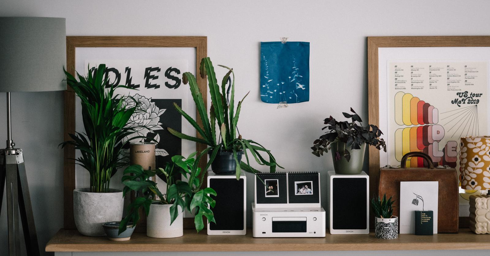 7 applications pour prendre soin de ses plantes